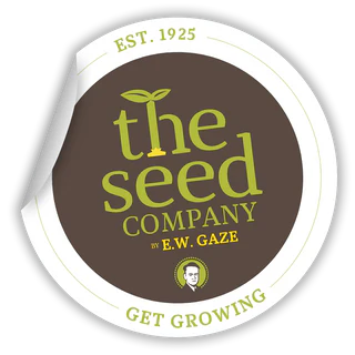 The Seed Company by E.W. Gaze